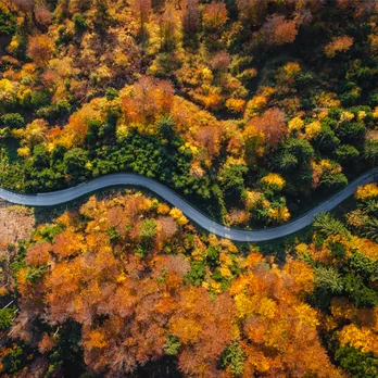 Brand Highlights Tile