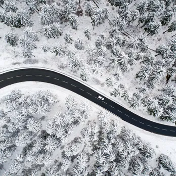 Brand Highlights Tile