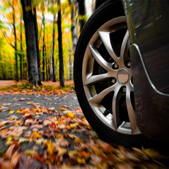 Brand Highlights Tile