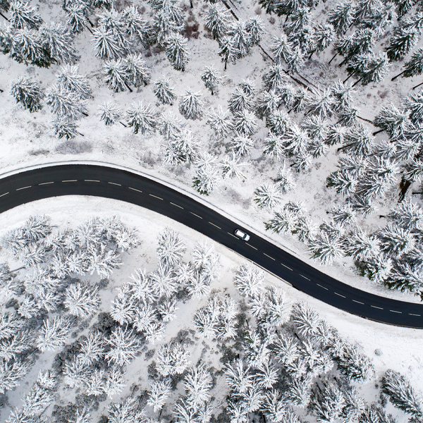 Brand Highlights Tile